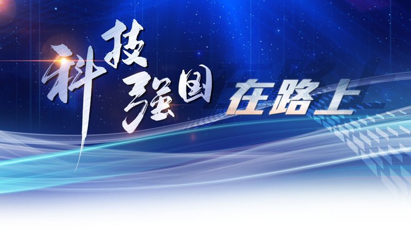 数据治理与安全合规：企业数据安全的双重防线