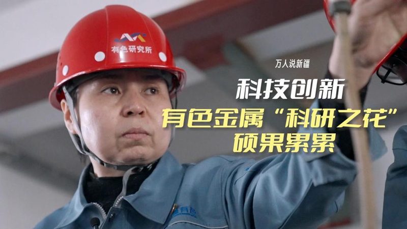 搜索引擎性能优化：深度解析与实操技巧